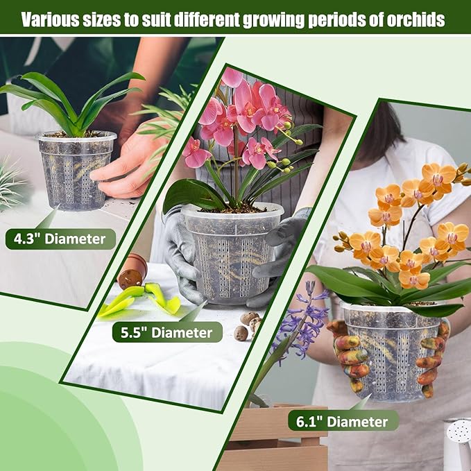 Orchid Pot, 3 Each of 4.3", 6.1" Orchid Pots - Image 2