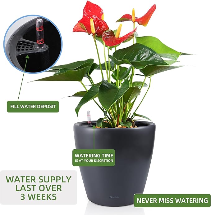 Dexceder 18x17 Self Watering Planter - Image 5