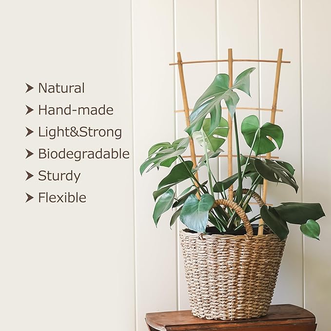 Plant Trellis Indoor, 3 Pack Bamboo Trellises, 16in Fan-Shaped Trellis - Image 2