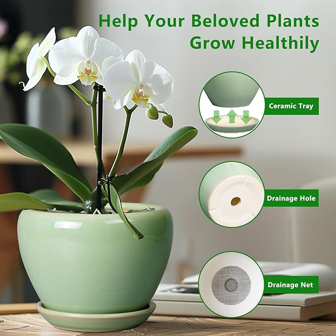 8 Inch Plant Pot - Image 6