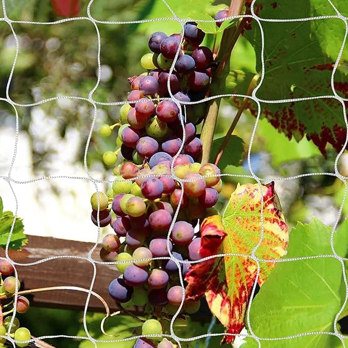 Tcamp Trellis Netting for Climbing Plants Outdoor Indoor - Image 8