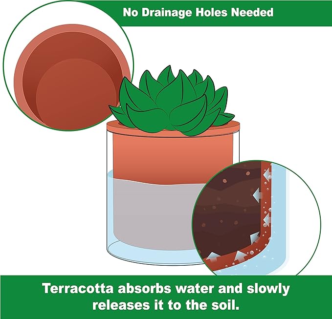 Phoenix Vine 4 Inch Self Watering Plants Pot, Design Terracotta Pot - Image 4
