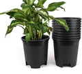Wholesale Nursery Pot in Bulk 30-Pack 1.5 Gallon Plastic Planters by CottaPlanters
