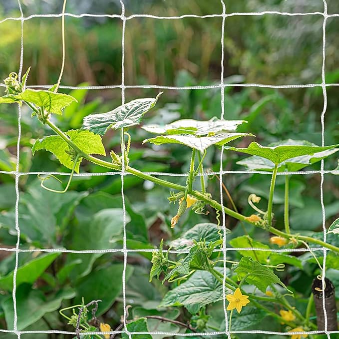 Tcamp Heavy-Duty Polyester Plant Trellis Netting 5 x 30ft - Image 2