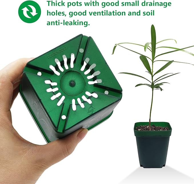 Square Seedling Nursery Pots 3.15 Inches 100 Pcs - Image 5