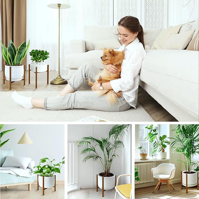 Airpark Plant Stand Indoor Adjustable, Metal Modern Plant Stand, Heavy Duty - Image 5