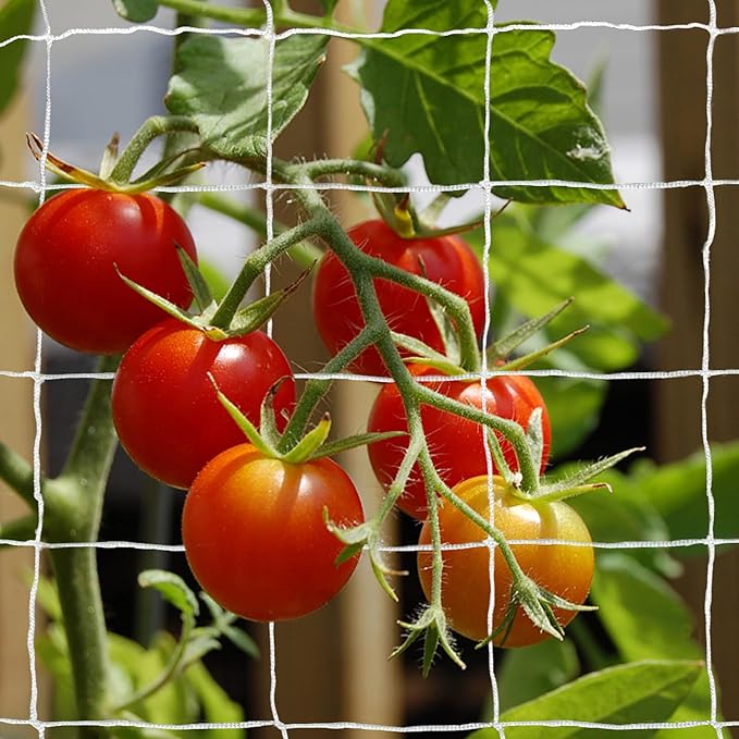 Tcamp Trellis Netting for Climbing Plants, Cucumber Trellis for Garden by Tcamp