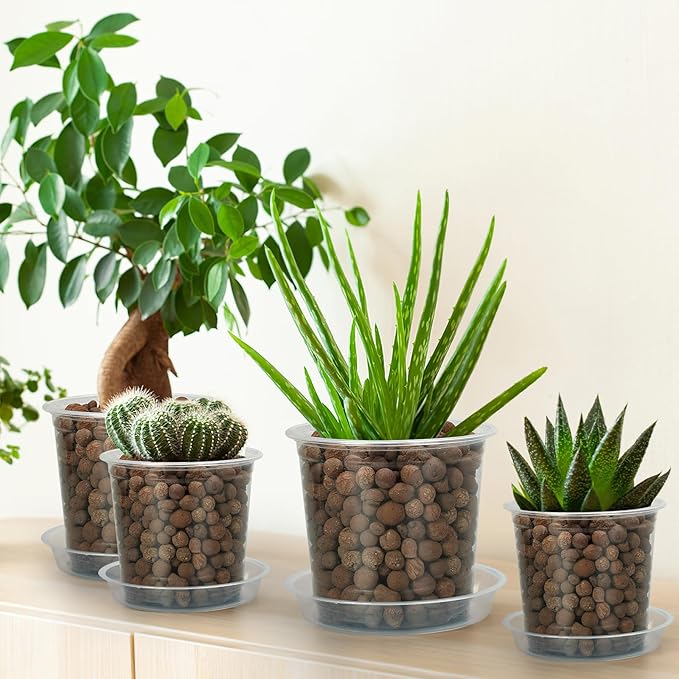 7 Inch Clear Nursery Pots for Plants - Image 6
