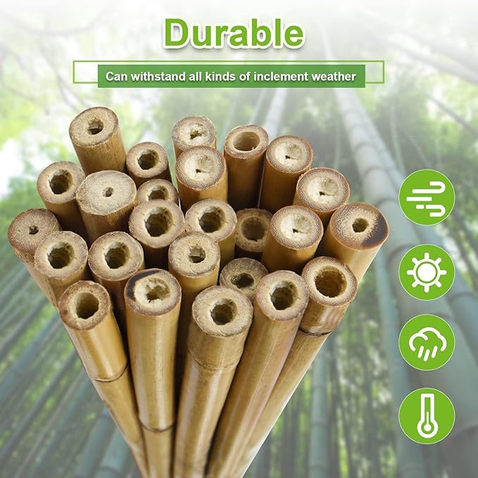 25pcs 7/20" D Thicker Heavy Duty Bamboo Stakes, 3FT Plant Stakes, Natural - Image 4