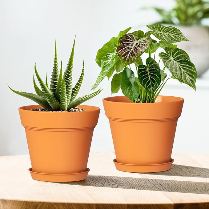 5 Inch Plastic Plant Pots with Drainage Holes and Trays – 6 Pack Small Nursery - Image 6
