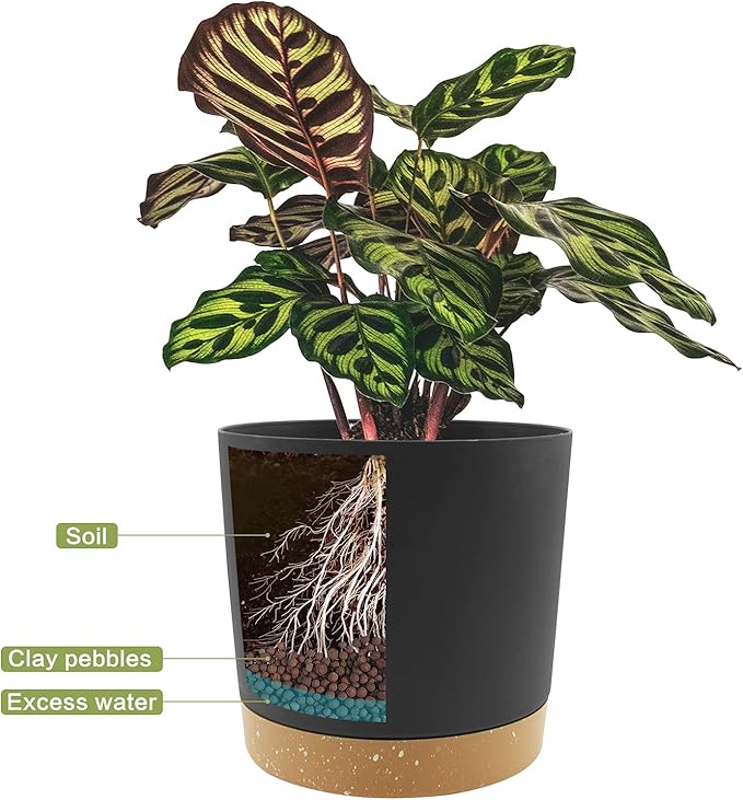 QCQHDU 10 inch Plant Pot, 2 Pack Planters - Image 4