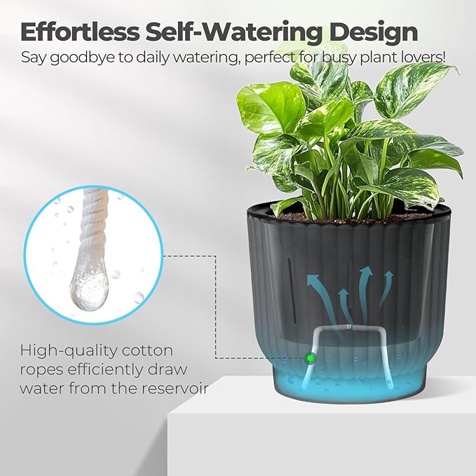 T4U 4 Inch Plant Pots Self Watering, 6 Pack African Violet Pots, Small Plant - Image 3