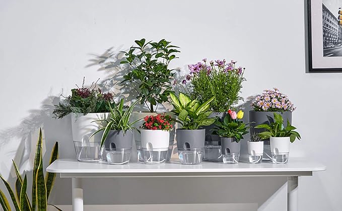Self Watering Pots for Indoor Plants, 5 Pack 6/4.1/3.2 Inch Flower Pot Modern - Image 5