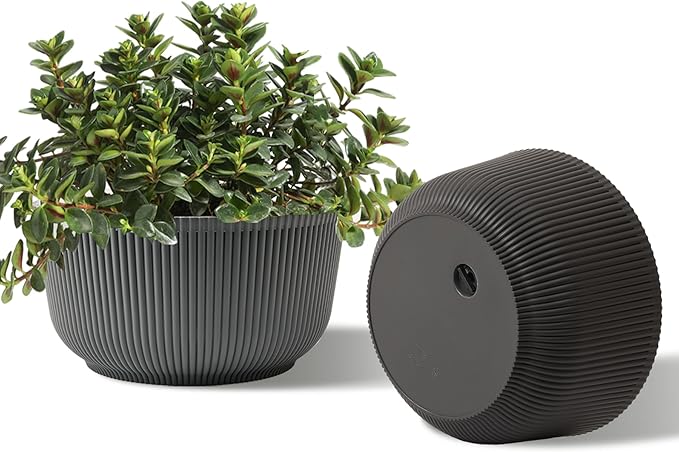 T4U 8 Inch Plant Pots, 2 Pack Self Watering Planter by T4U