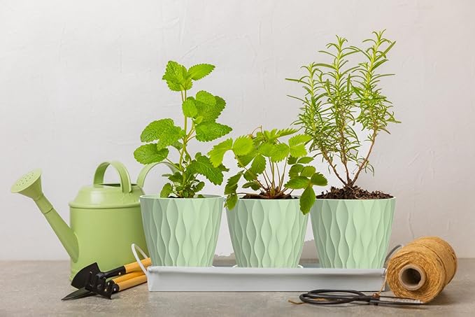 4 Inch Plant Pots, 6 Pack Indoor Flower Pots, Planters - Image 5