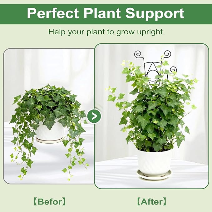 Indoor Plant Trellis for Climbing Plants 2 Pack Small Garden Metal Support for - Image 4