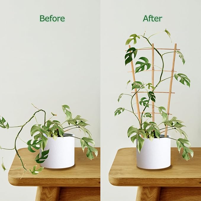 Plant Trellis Indoor, 3 Pack Bamboo Trellises, 16in Fan-Shaped Trellis - Image 6
