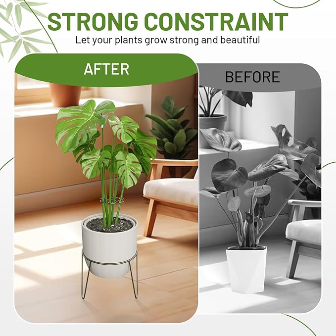 4PCS Green Iron Monstera Support, Uniquely Designed Plant Support Stakes - Image 4