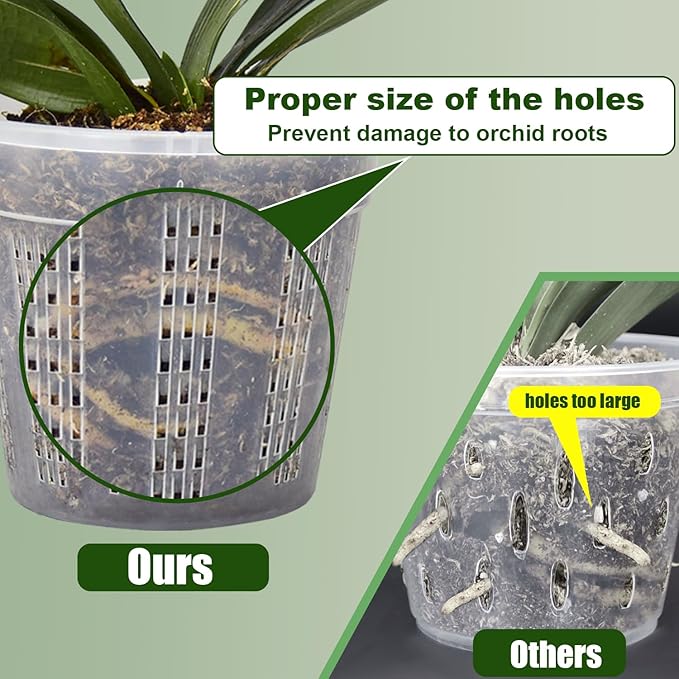 Orchid Pot, 6 Packs of 6.1" Orchid Pots - Image 2