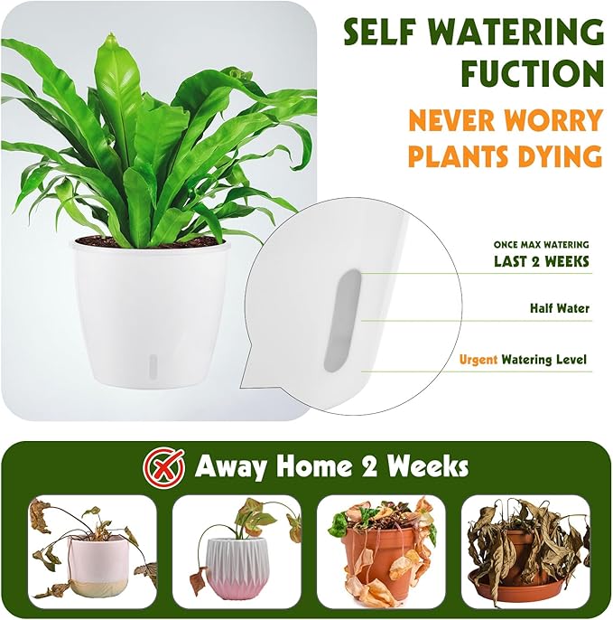 8-Pack 5 Inch Self Watering Pots, Indoor Planter - Image 4
