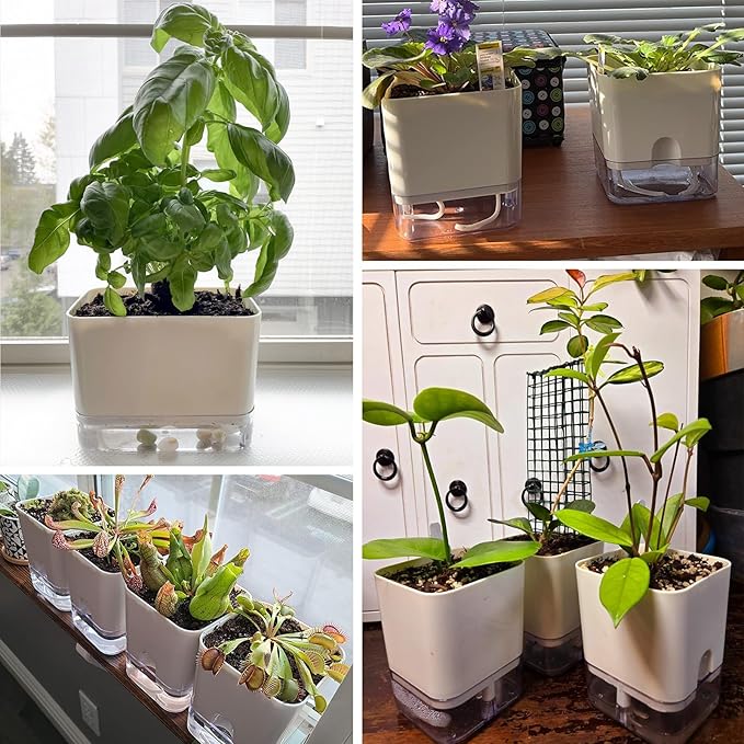 Planterhoma Self Watering Plant Pots - Image 9