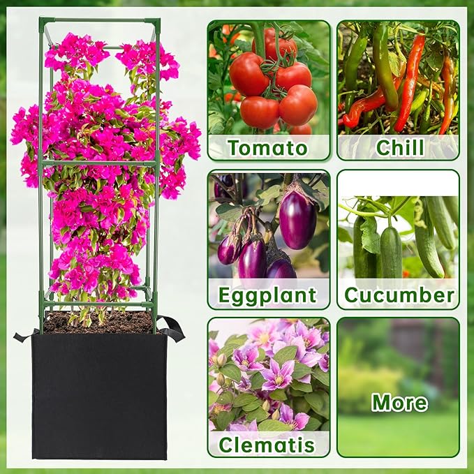 ANPHSIN 2 Sets Tomato Cages - Image 7