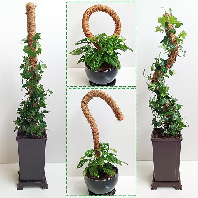 2 Pack Moss Pole, 28 Inch Bendable Moss Pole - Image 7