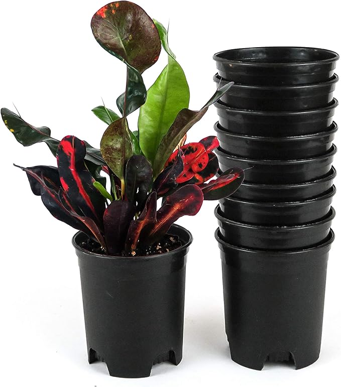 4 Inch Nursery Pot Plastic Planters by CottaPlanters