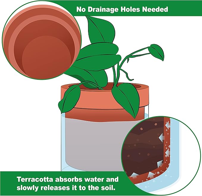 Phoenix Vine 4 Inch 6 Inch Self Watering Planter Pots, Terracotta Clay Pots - Image 4
