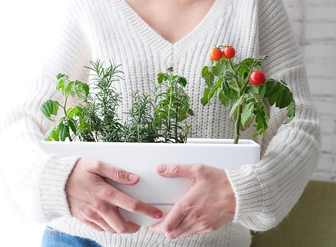 D'vine Dev 12 Inch Window Box Planter, Rectangle Plastic Herb Planter - Image 4