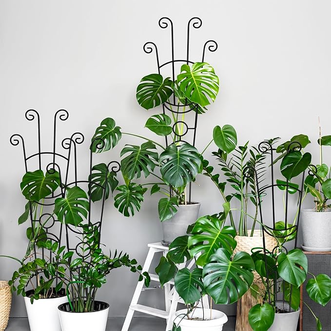 32.6in Monstera Plant Support Stakes - Image 8