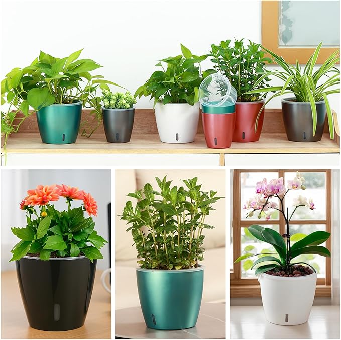 Self-Watering Pots for Indoor Plants, Small African Violet Pots - Image 5