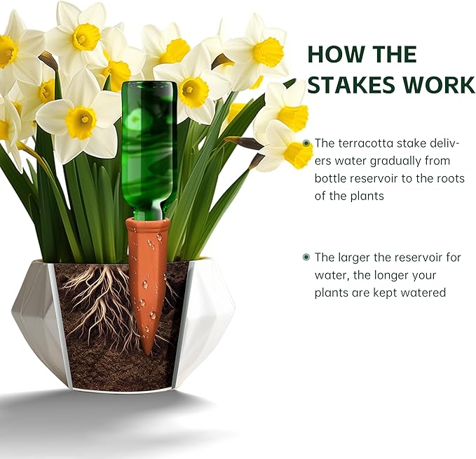 Large Terracotta Watering Spikes - Image 3