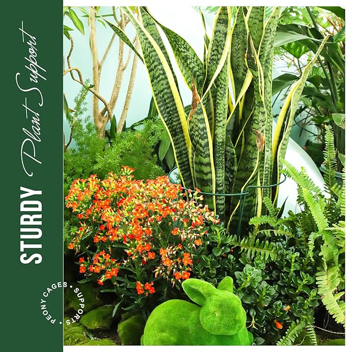 LEOBRO Plant Support Stakes, Plant Support, Peony Cages and Supports, Garden - Image 5