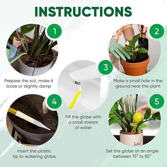 Plant Watering Globes Set of 8 - Image 3