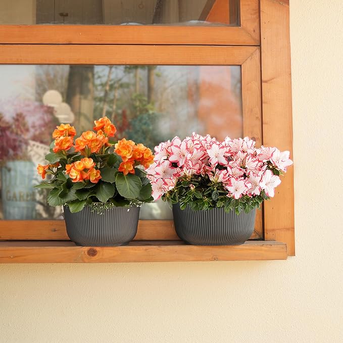 T4U 8 Inch Plant Pots, 2 Pack Self Watering Planter - Image 5