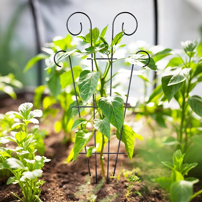 4 Pack 43'' Indoor Plant Trellis - Image 5