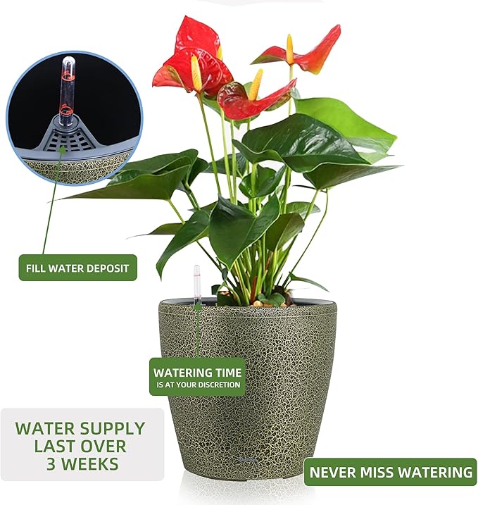 Dexceder 18x17 Self Watering Planter - Image 5