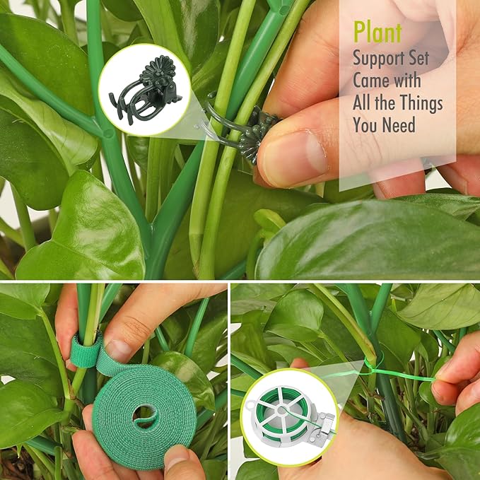 6 Pack Plant Support Stakes for Indoor Plants, 27.56 Inch Twig Plant Sticks - Image 4