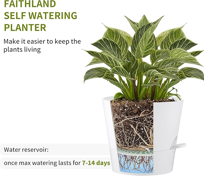 FaithLand 2-Pack 9 Inch Planter Pots - Image 3