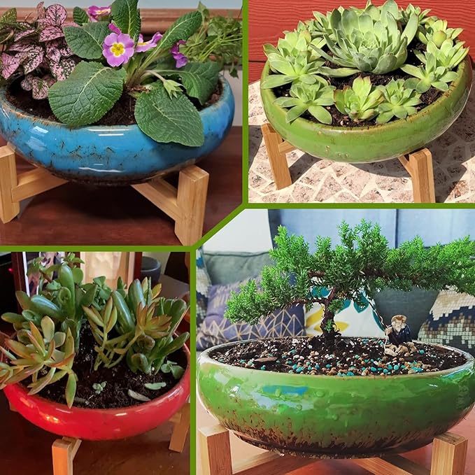 Large Succulent Pots with Drainage & Stand, 10 inch Ceramic Succulent Planter - Image 6