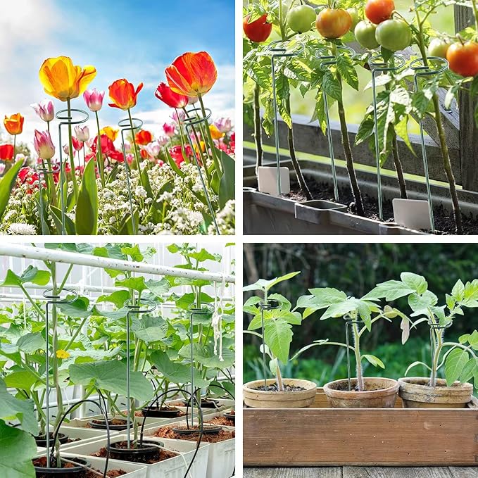 24 Inch 20 Packs Plant Support Stakes, Garden Single stemmed Plant Support - Image 6