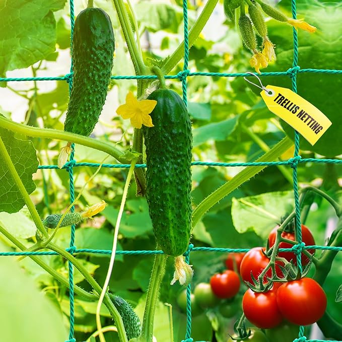 Trellis Netting, Garden Trellis Netting by SHPPETONB