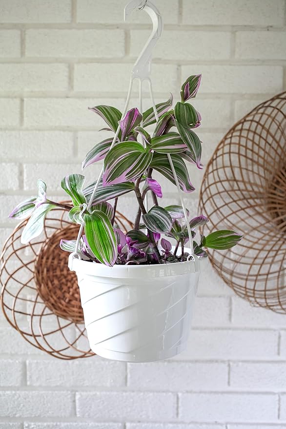 The HC Companies 12 Inch Euro Hanging Planters, Lightweight UV-Resistant - Image 5