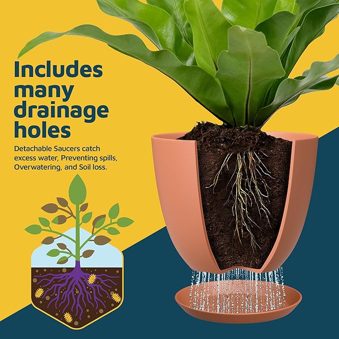 Terracotta Plant Pots with Drainage Holes & Saucers 3 Pack, Indoor & Outdoor - Image 6