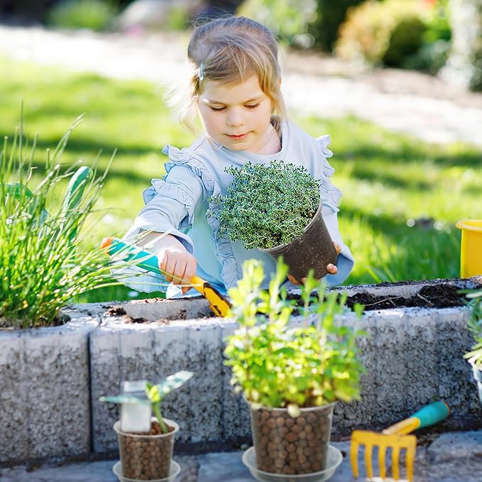 7 Inch Clear Nursery Pots for Plants - Image 7