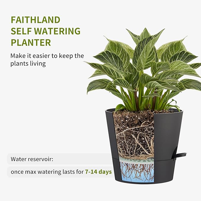 FaithLand 2-Pack 9 Inch Planter Pots - Image 3