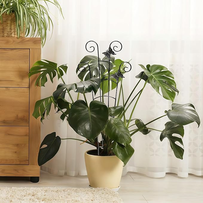 30'' Larger Plant Trellis with Ties Indoor, Expandable Metal Trellis - Image 8