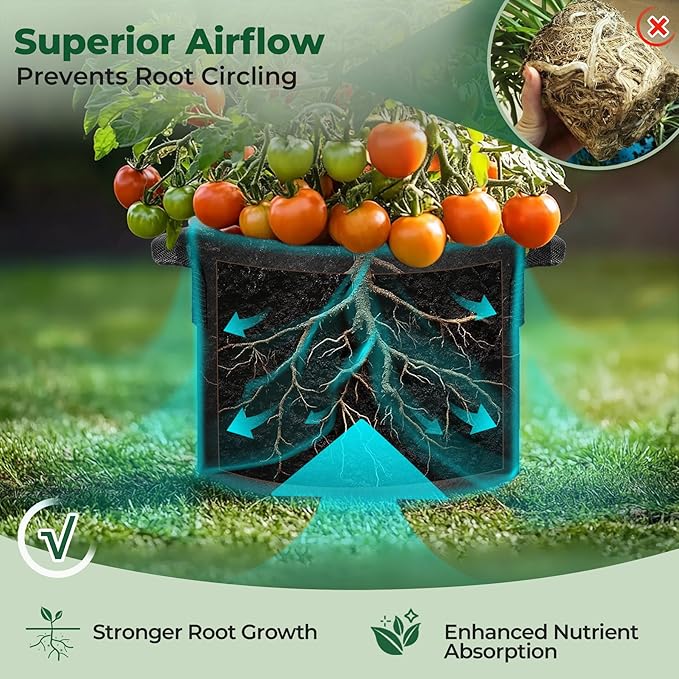 T4U 7 Gallon Grow Bags, Upgrade Grow Bags - Image 5
