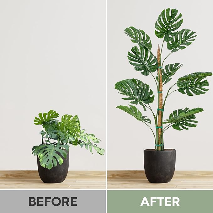 2 Pack 63'' Bendable Moss Pole Monstera Plant Support - Image 6